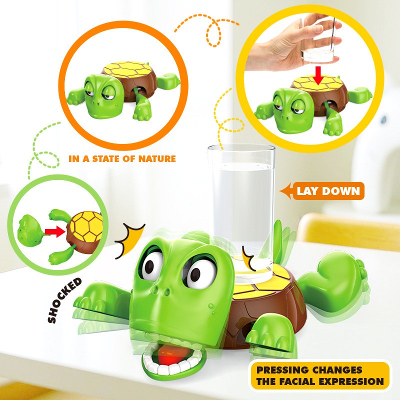 Funny Turtle Coaster