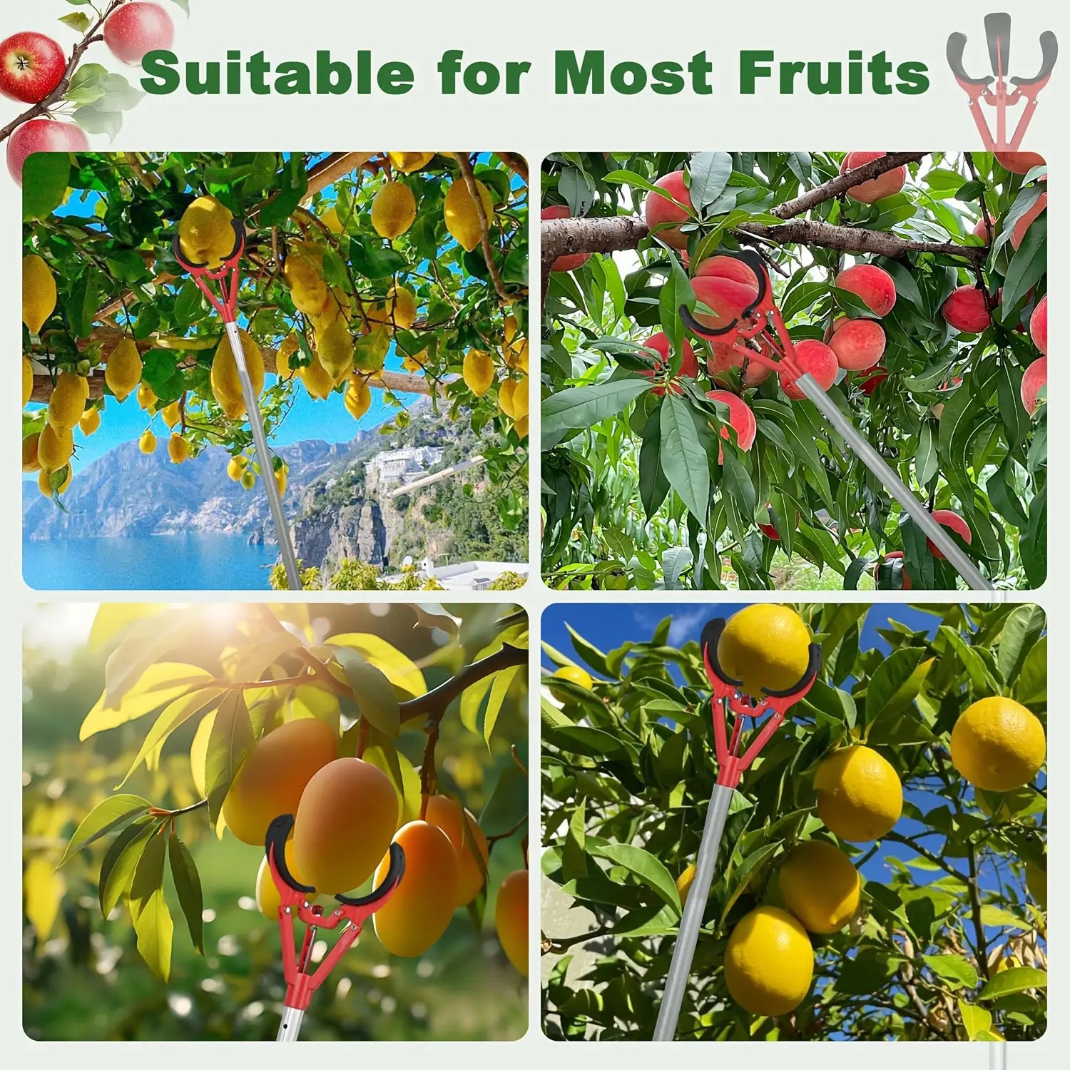 Tall Fruit Picker with Basket and Support Frame  Universal Type