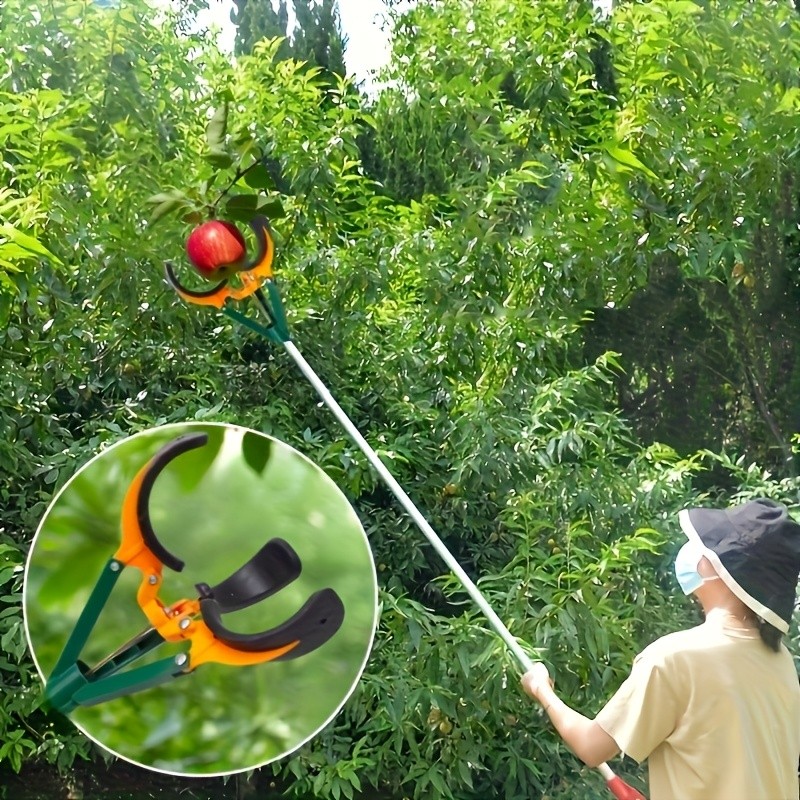 Tall Fruit Picker with Basket and Support Frame  Universal Type