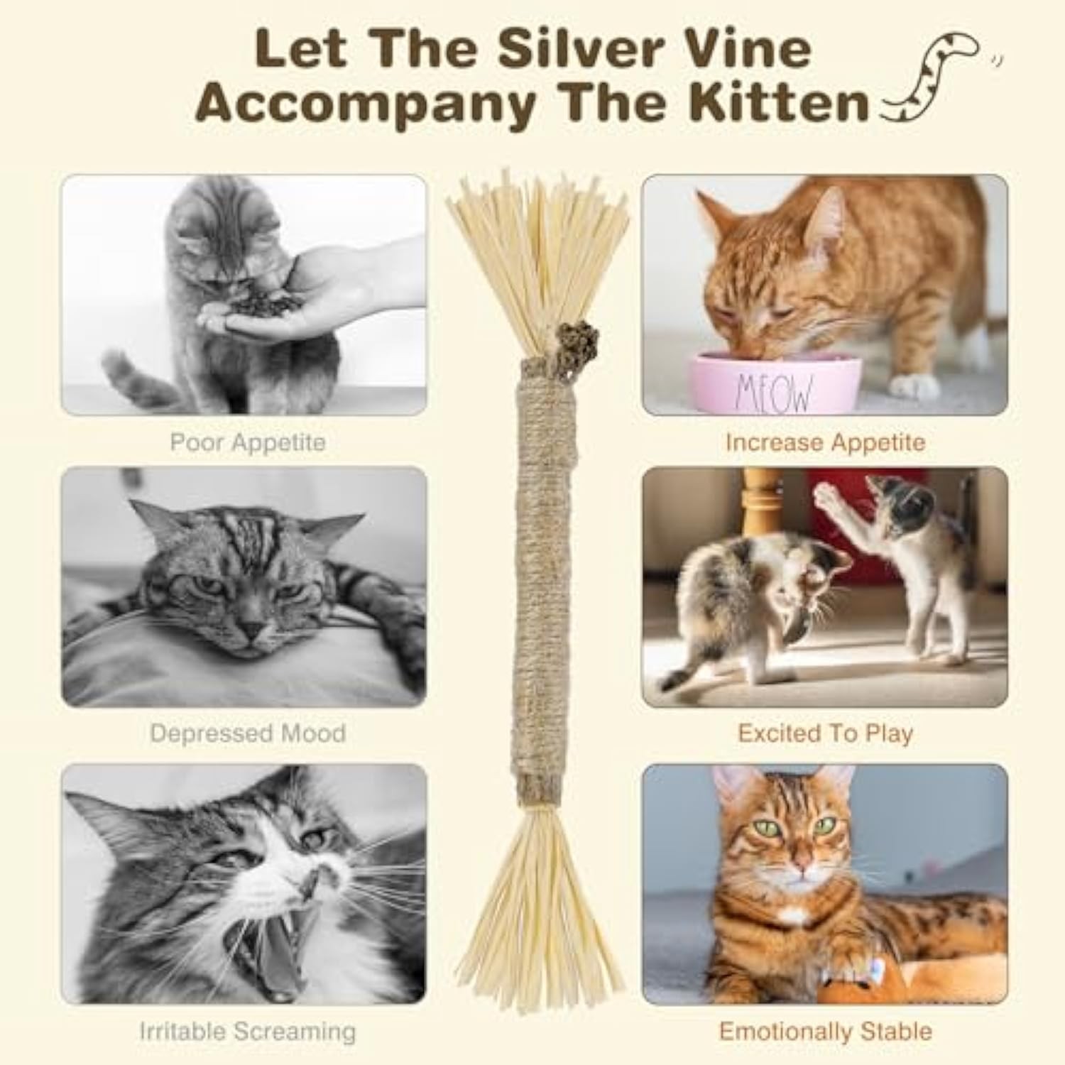 Cat Silvervine Dental Sticks