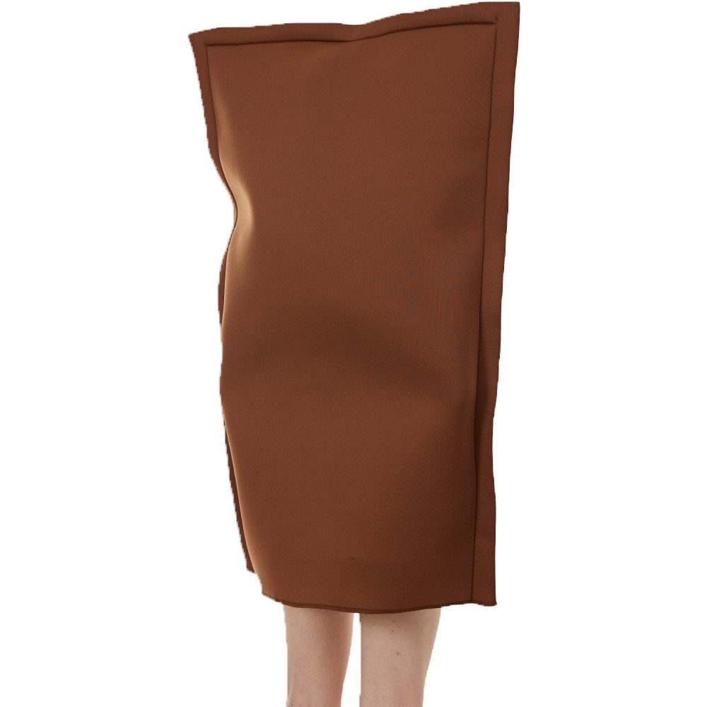 Paintings Costume Mona Lisa