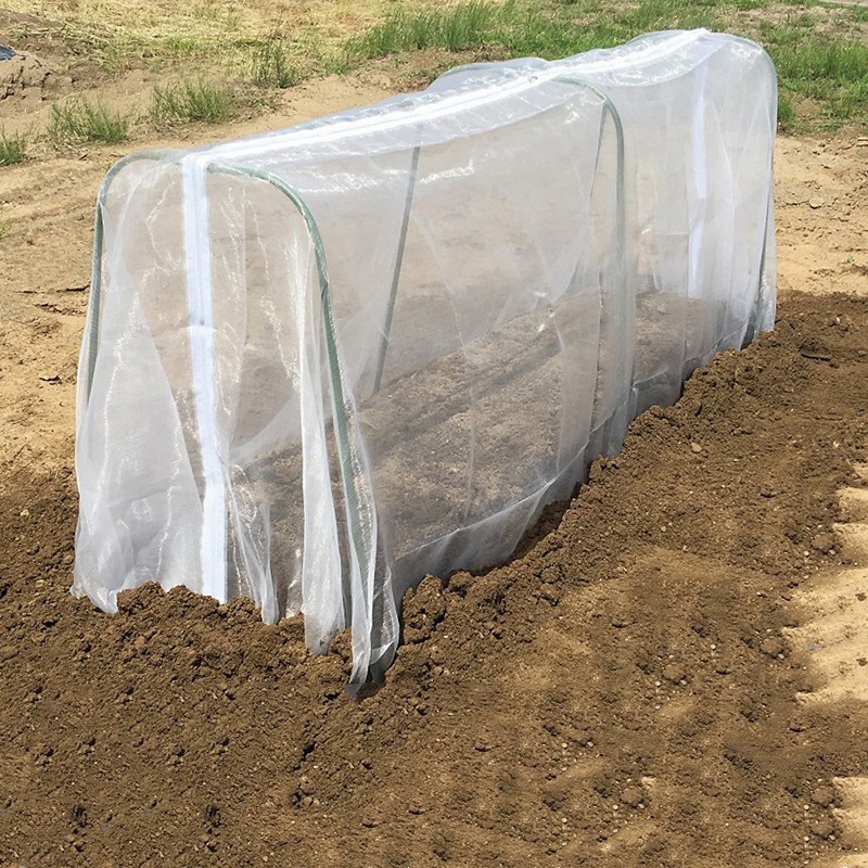 Insect Net