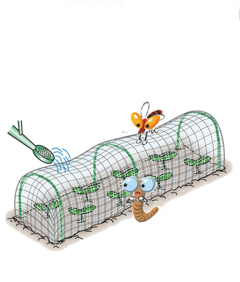Insect Net