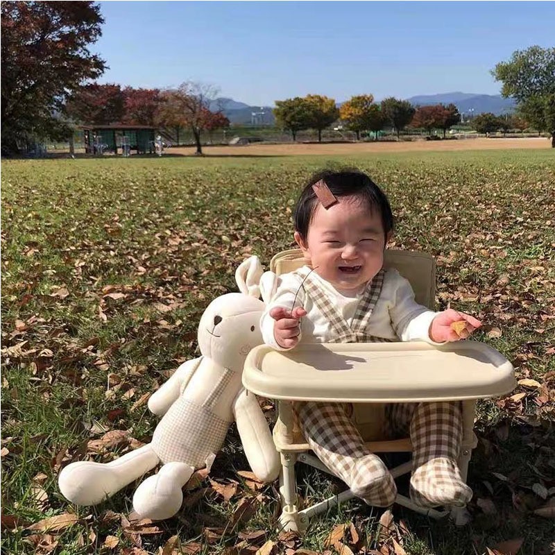 Portable Baby Seat