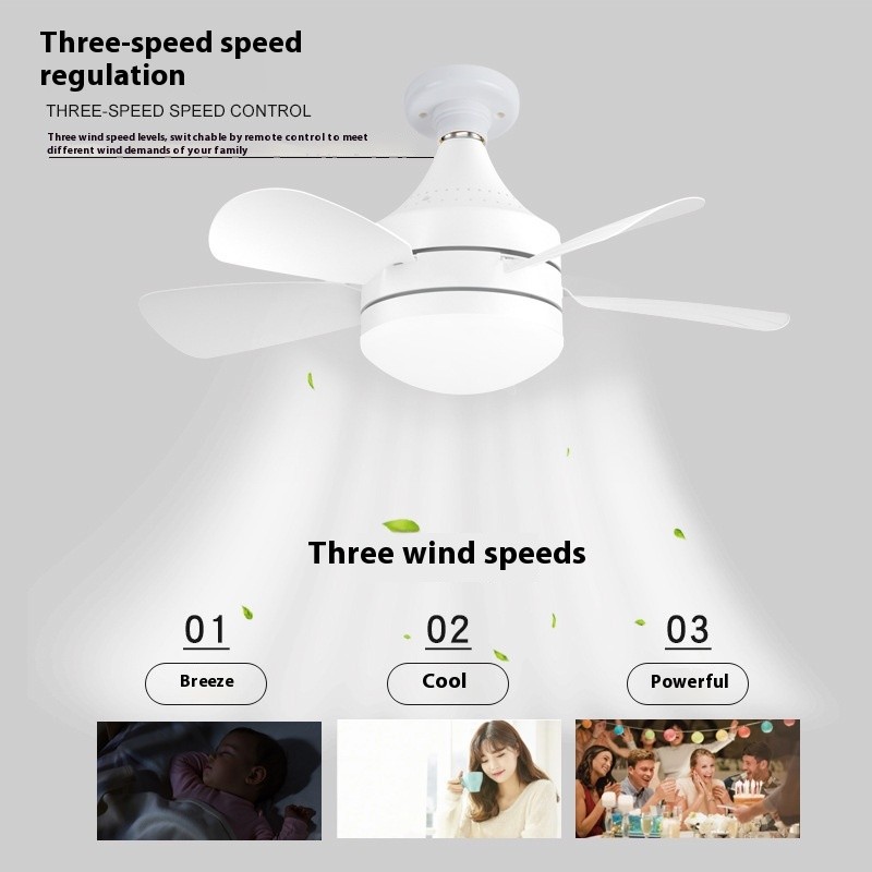 Socket Ceiling Fan Light
