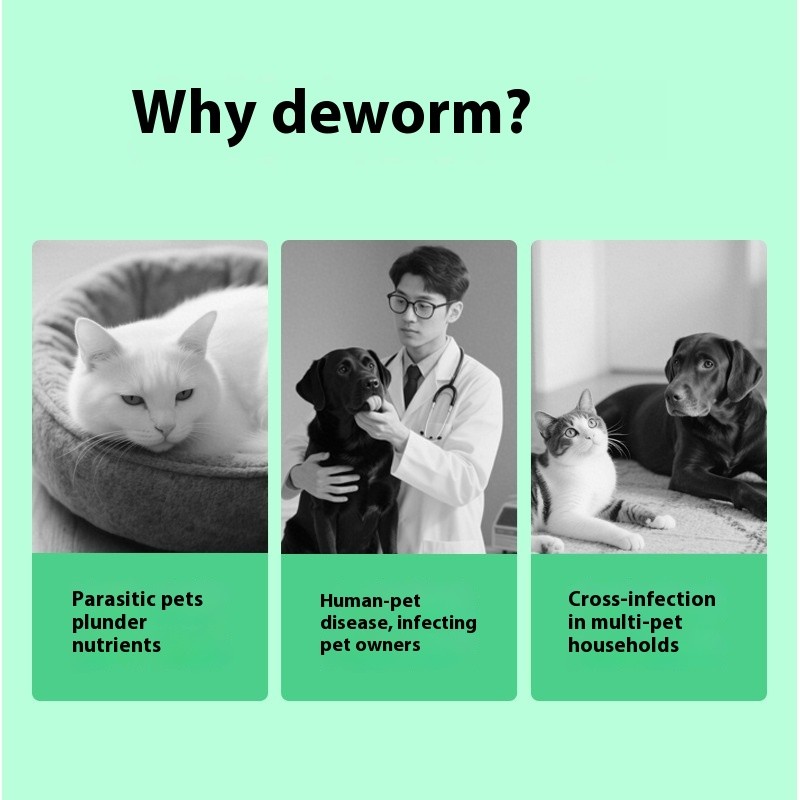 Flea & Tick Chews Prevention Boost Your Pets Health Naturally