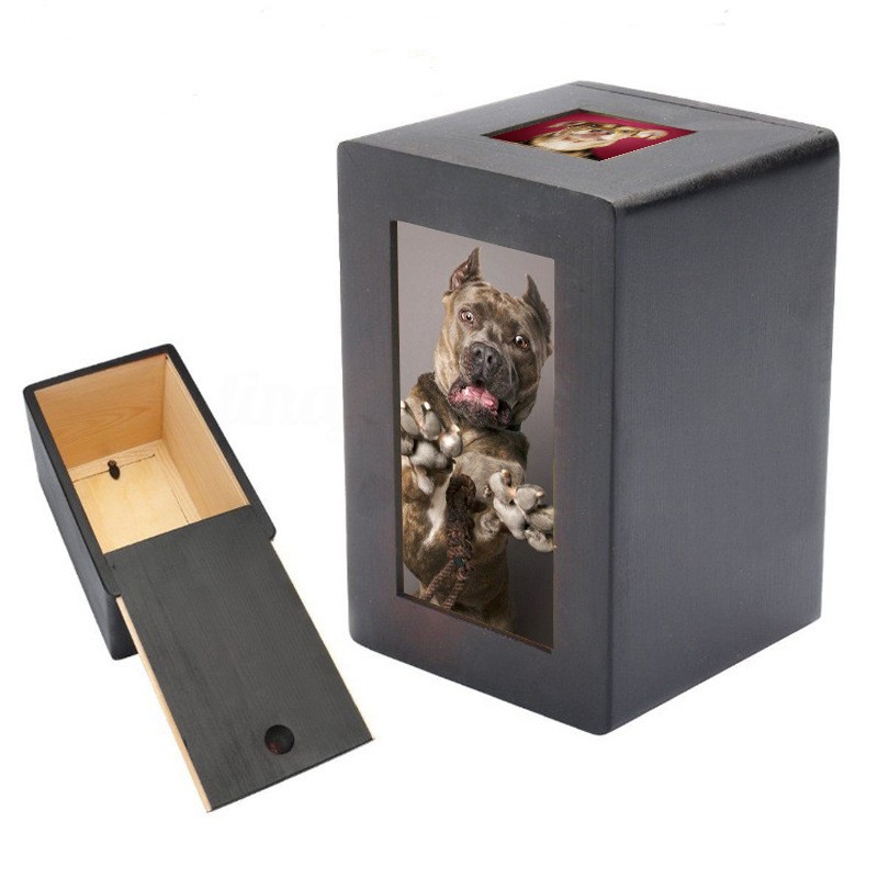Pet Animal Bone Box