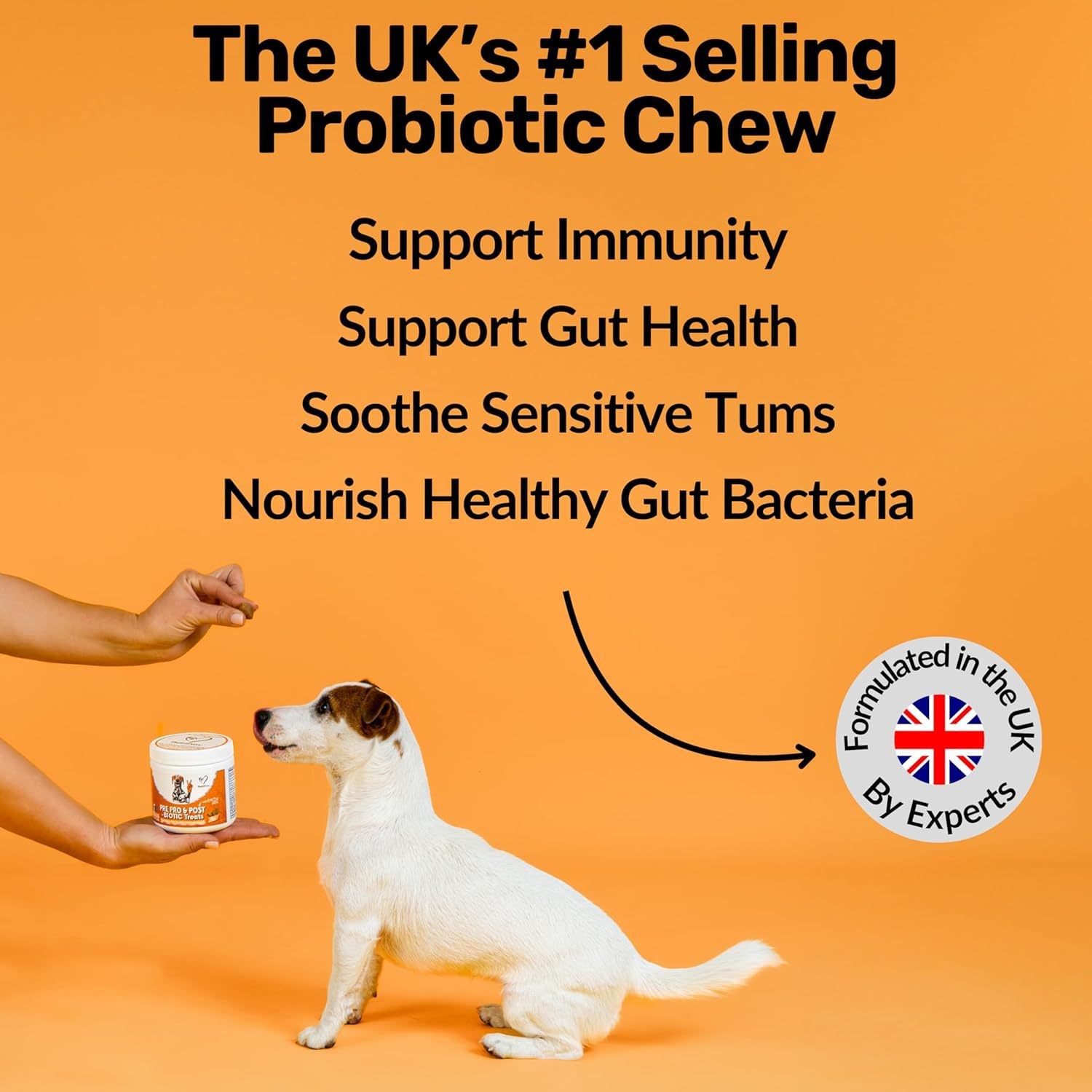 Pre, Pro & Post-Biotic Treats for Dogs