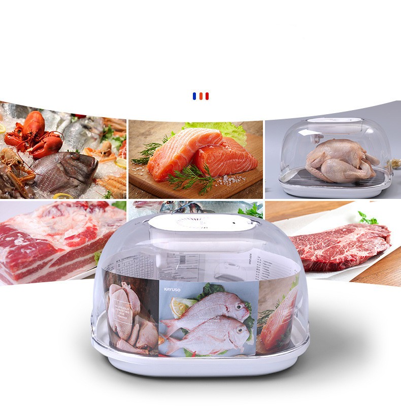Food Preservation Defroster