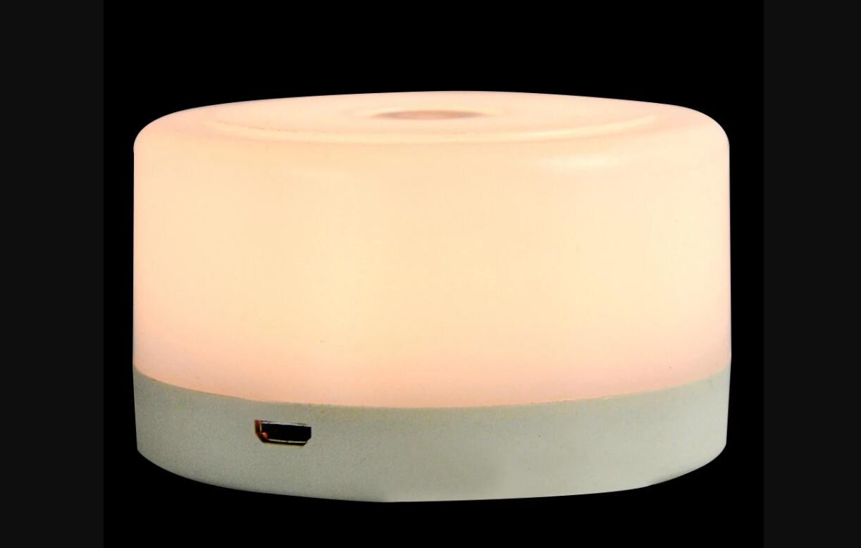 Portable Lamp