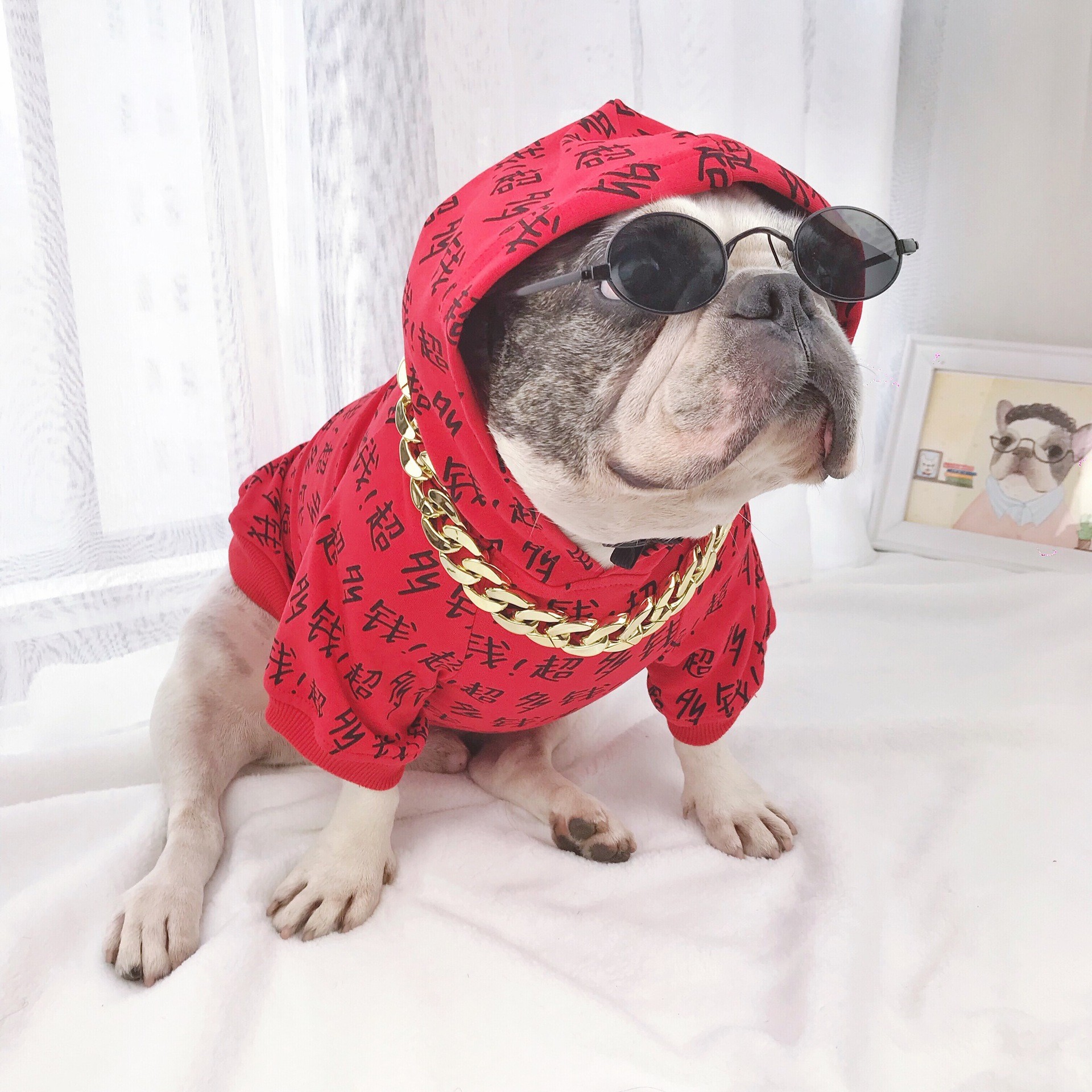 Dog Glasses Toy