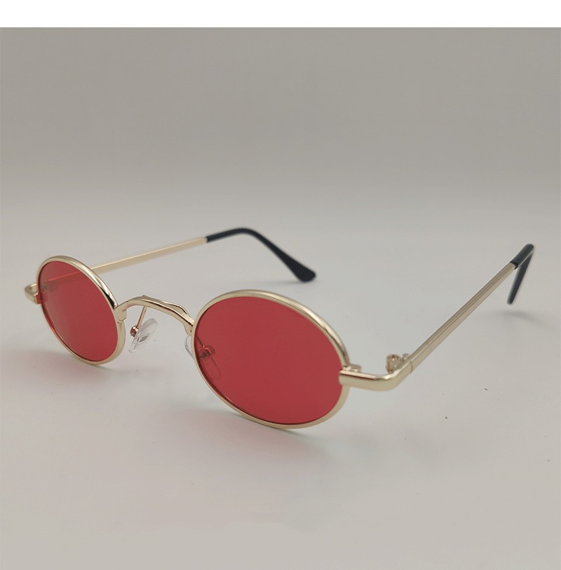 Dog Glasses Toy