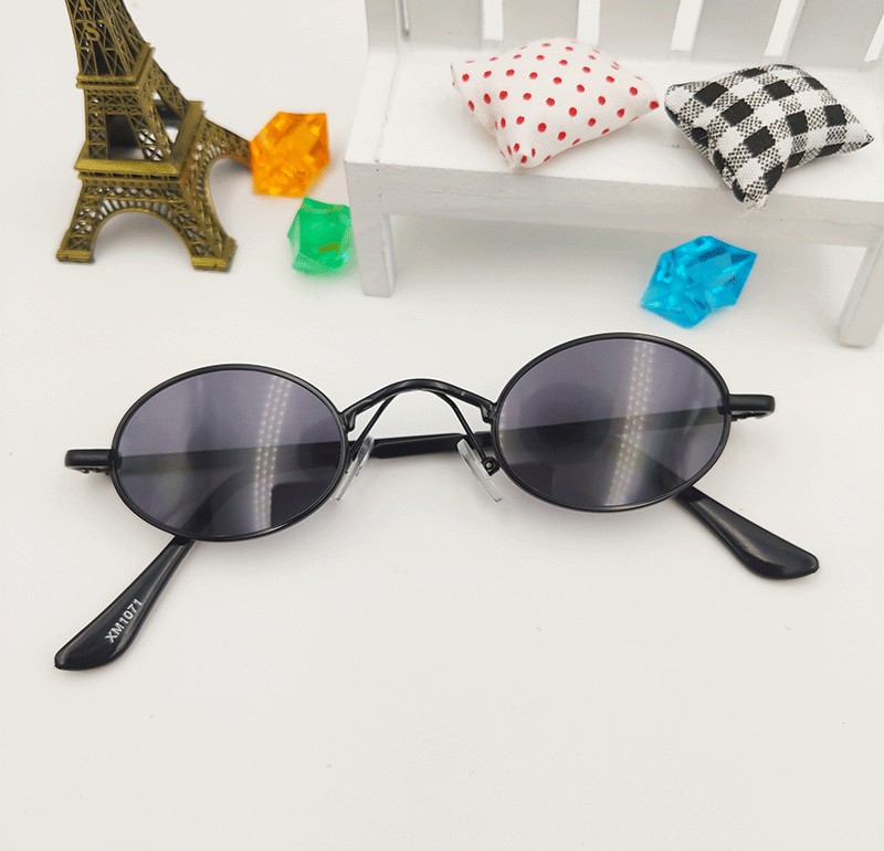 Dog Glasses Toy