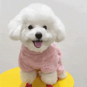 Fleece Pet Elastic Jumpsuit with Pull Ring