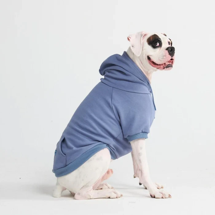 Essential Dog Hoodie