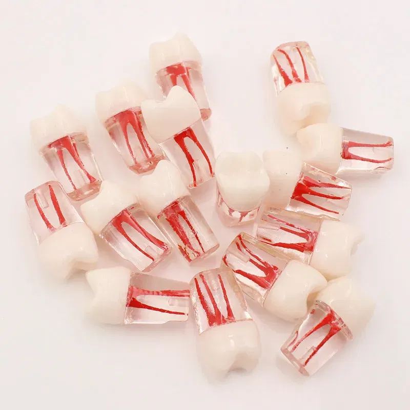 Color: Yellow - 10Pc Dental Tooth Model Endodontic Root Canal Block RCT Practice Pulp Cavity Dentistry Replace Resin Teeth Endo Training Student