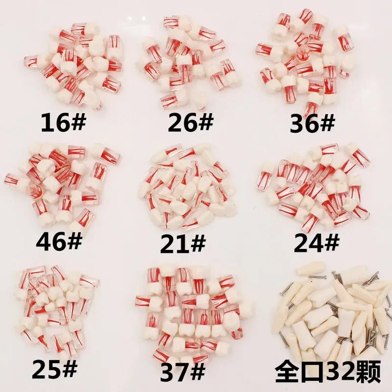 Color: Yellow - 10Pc Dental Tooth Model Endodontic Root Canal Block RCT Practice Pulp Cavity Dentistry Replace Resin Teeth Endo Training Student
