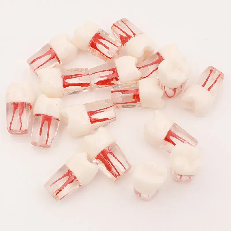 Color: Yellow - 10Pc Dental Tooth Model Endodontic Root Canal Block RCT Practice Pulp Cavity Dentistry Replace Resin Teeth Endo Training Student