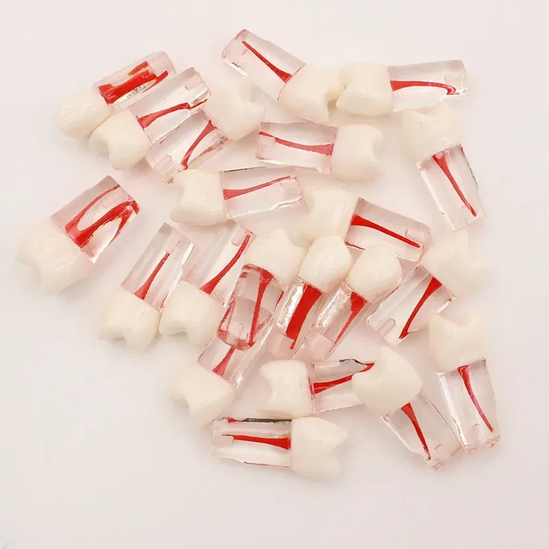 Color: Yellow - 10Pc Dental Tooth Model Endodontic Root Canal Block RCT Practice Pulp Cavity Dentistry Replace Resin Teeth Endo Training Student