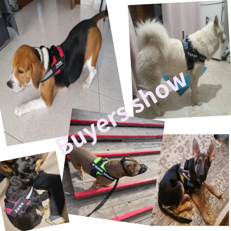 Color: GRAY, Size: S - Custom Dog Harness Reflective and Breathable Adjustable Tank Top Free Personalized  Name Label Pet leash Set