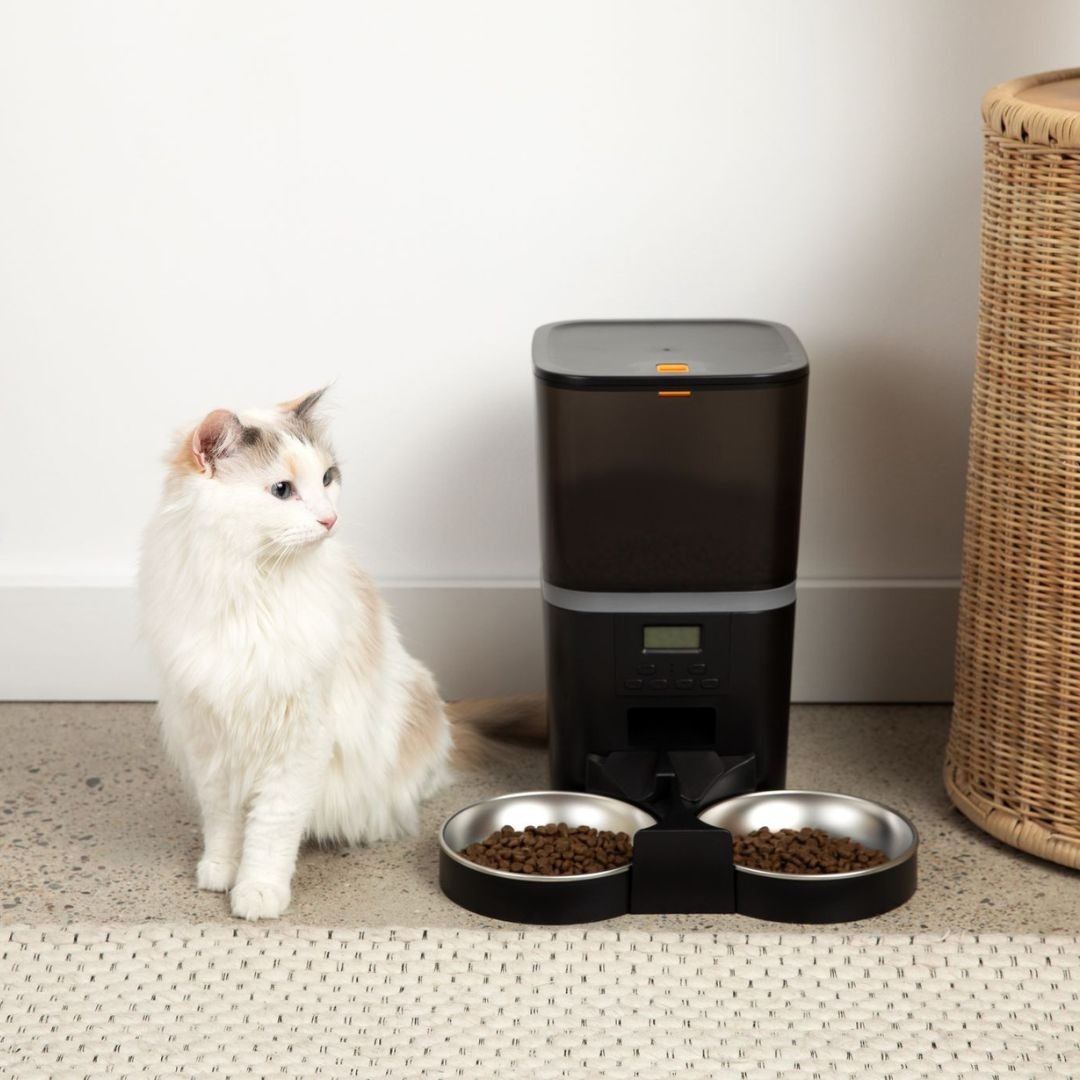 The KittyFeeder Automatic Cat Feeder
