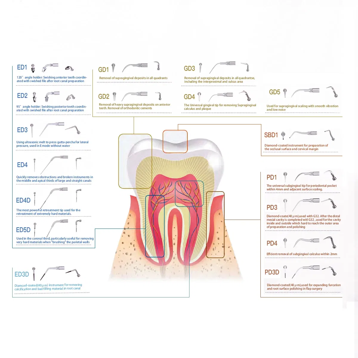 Color: LIGHT GRAY, Ships From: CHINA - AZDENT 1pc Dental Ultrasonic Scaler Tip Scaling Periodontics Endodontics GD PD ED Tip Fit for SATELEC DTE NSK Ultrasonic Scaler