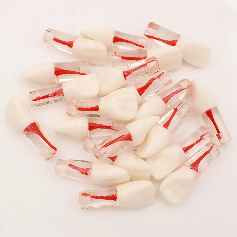 Color: GRAY - 10Pc Dental Tooth Model Endodontic Root Canal Block RCT Practice Pulp Cavity Dentistry Replace Resin Teeth Endo Training Student