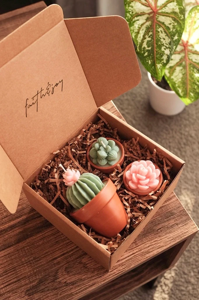 The succulent bundle