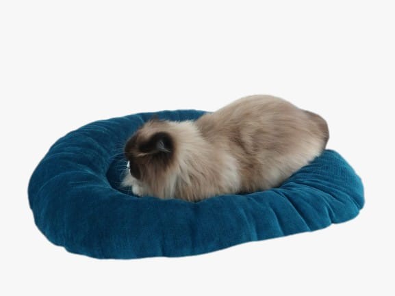 Pet Beds