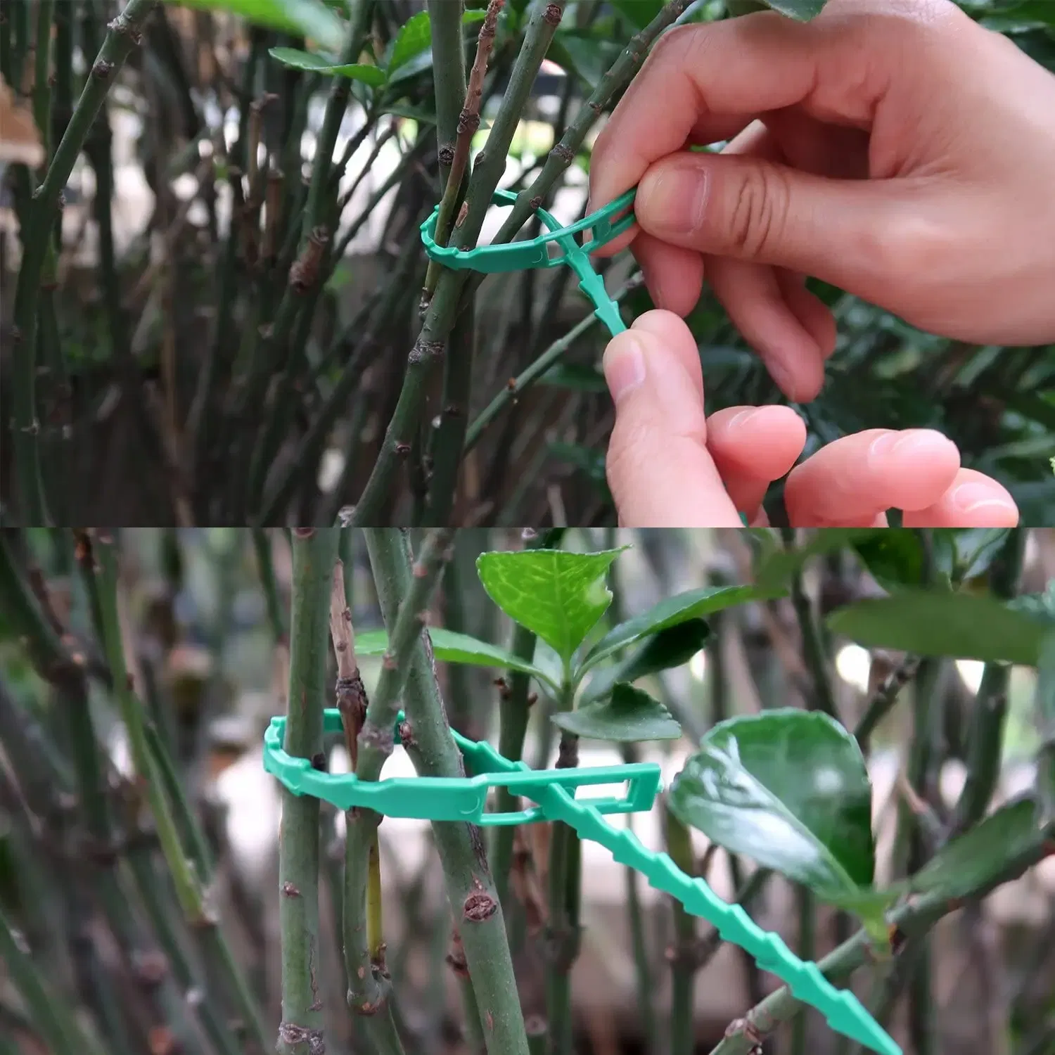 Size: S, Color: Brown - 30/50/100/200Pcs Reusable Garden Cable Ties Plant Support Shrubs Fastener Tree Locking Nylon Adjustable Plastic Cable Ties Tools