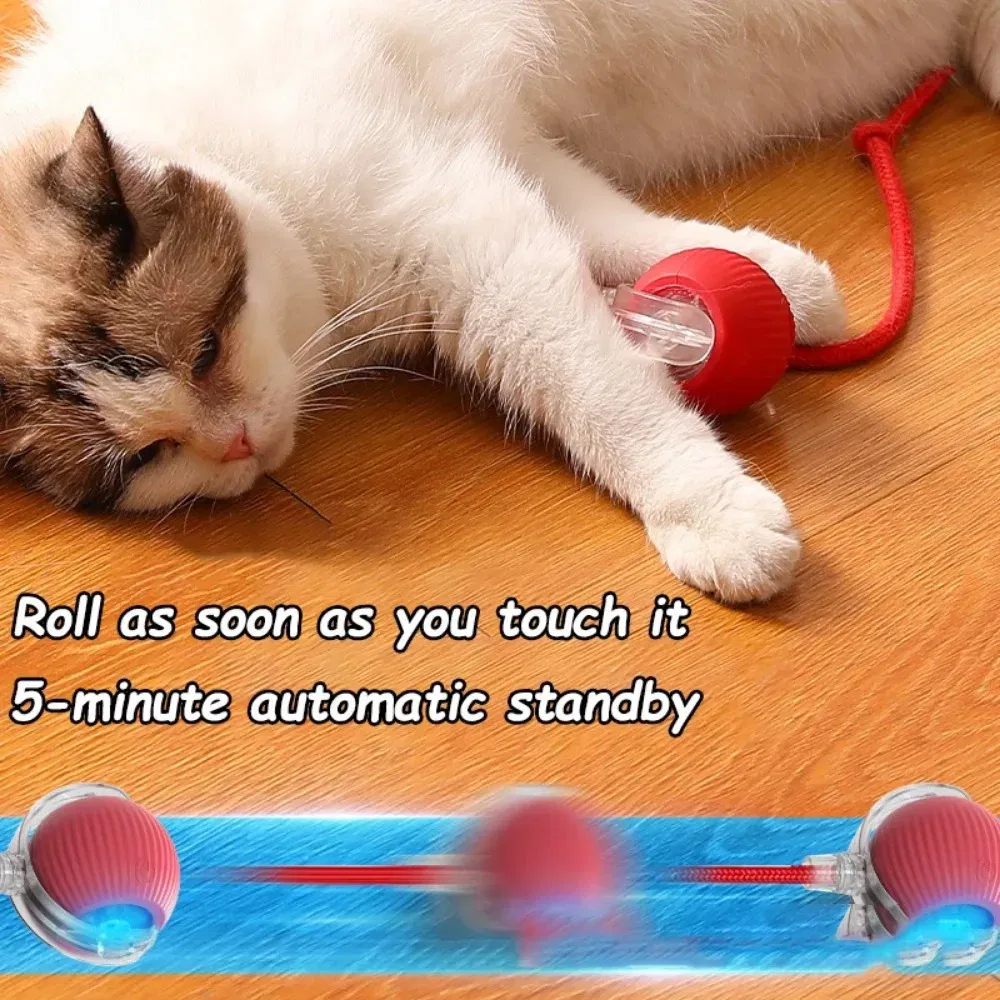 Color: black - New Cat Interactive Ball Toy Automatic Rolling Ball Faux Tail Rechargeable Smart Pet Electric Toy Dog Cat Training Imitate Mouse