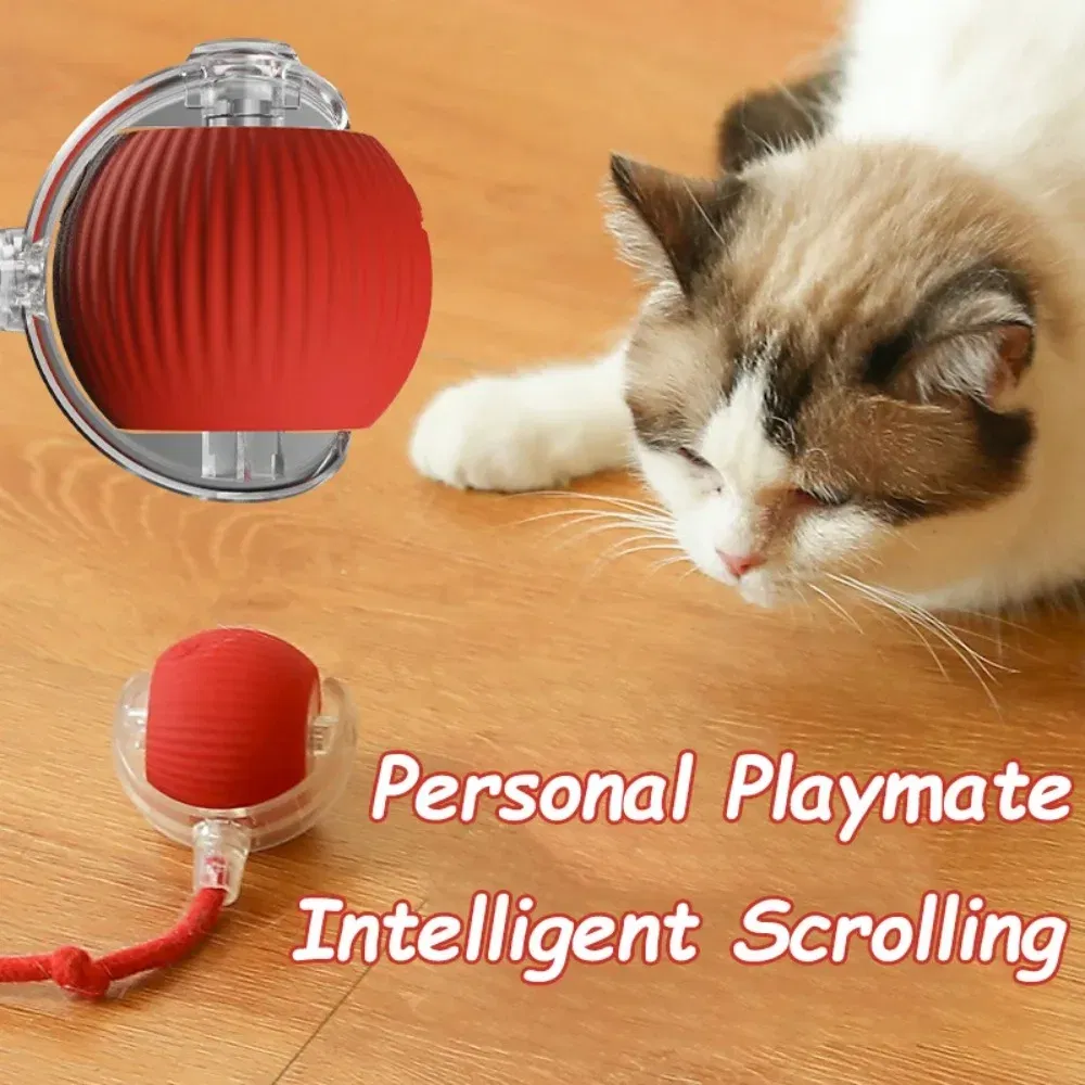 Color: black - New Cat Interactive Ball Toy Automatic Rolling Ball Faux Tail Rechargeable Smart Pet Electric Toy Dog Cat Training Imitate Mouse
