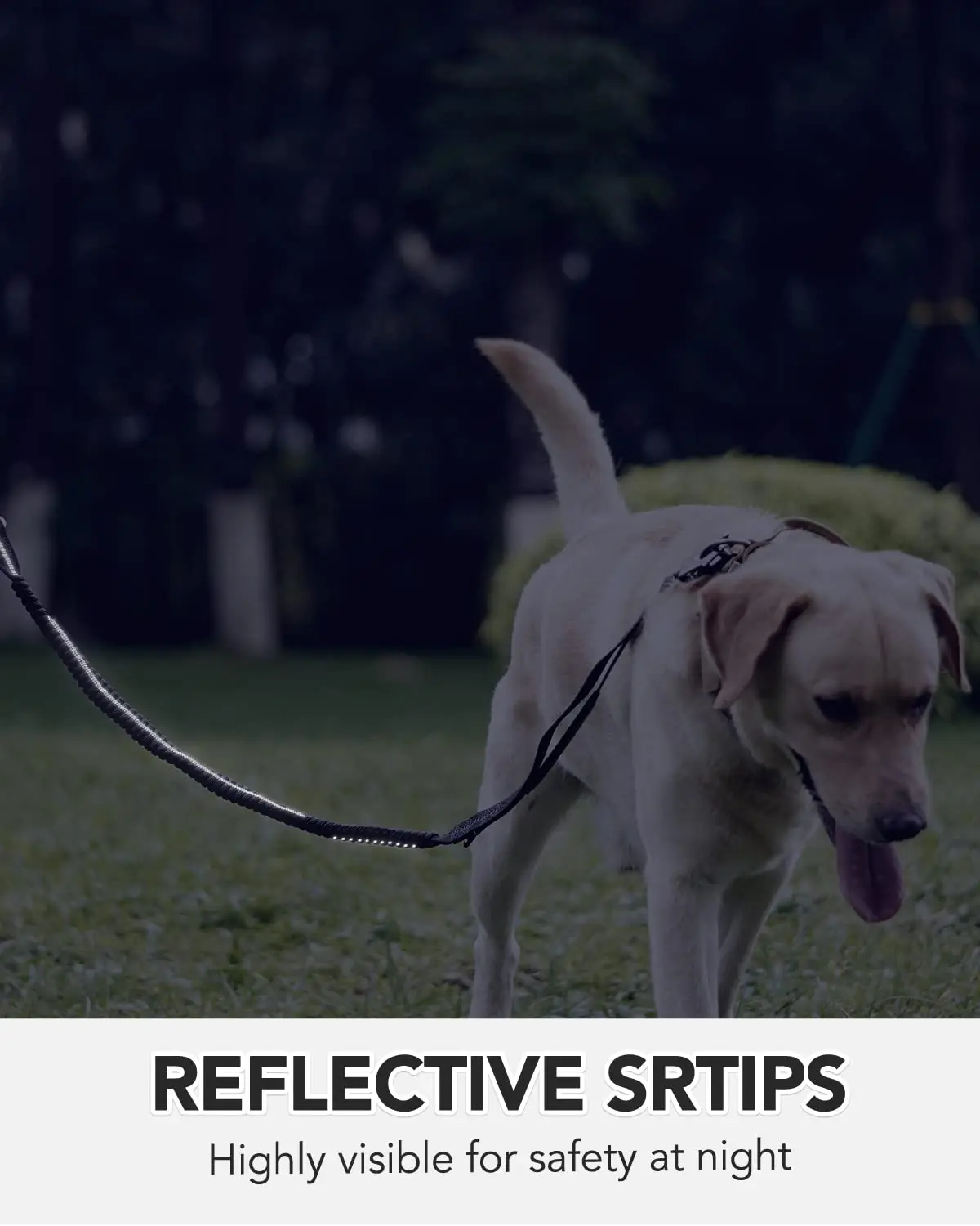 Color: WHITE - Heavy Duty Dog Leash with Elastic Bungee for Medium & Large Dogs - Shock Absorption & Safety Clip Included