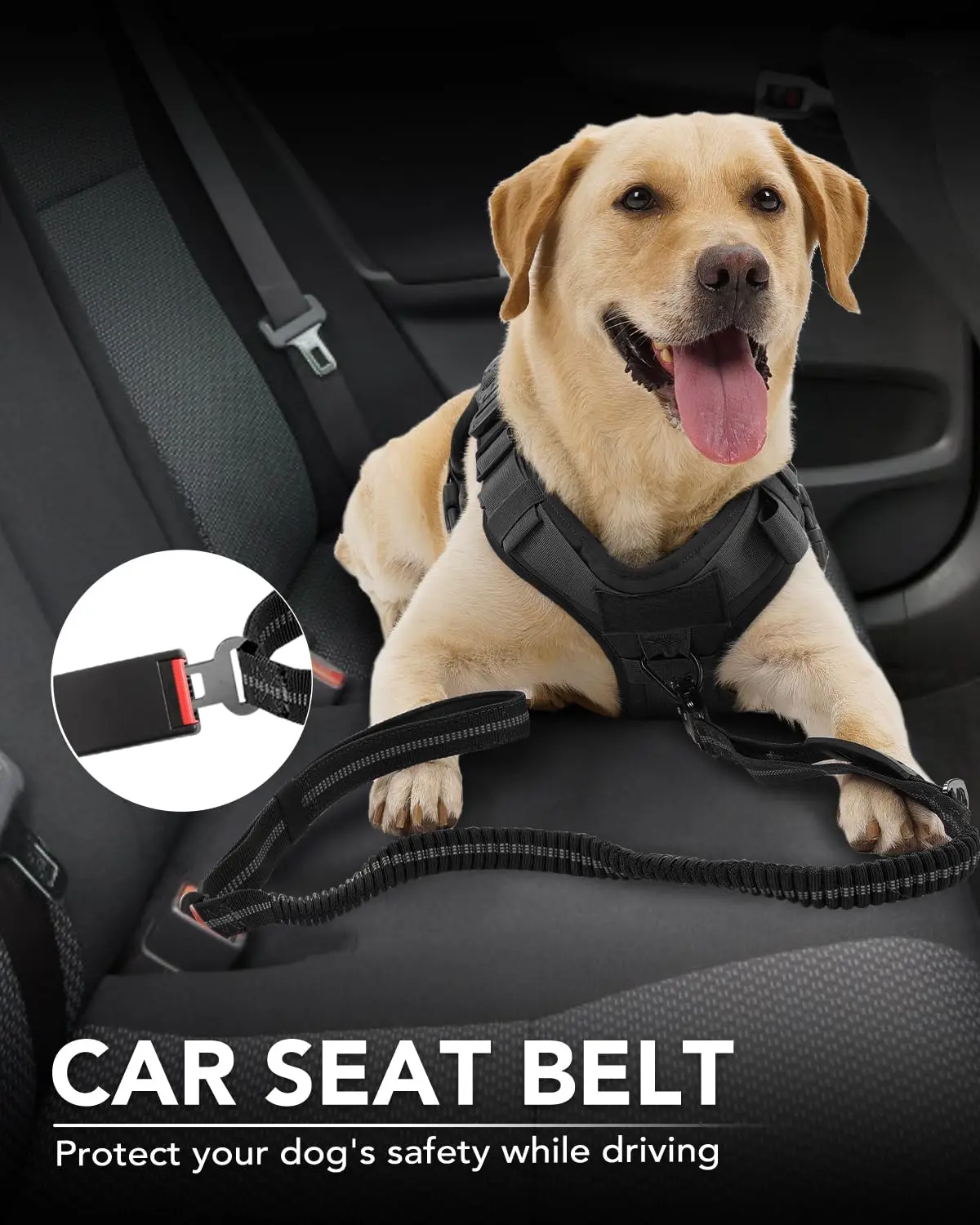 Color: WHITE - Heavy Duty Dog Leash with Elastic Bungee for Medium & Large Dogs - Shock Absorption & Safety Clip Included