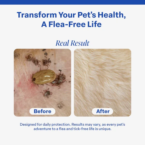 DrPaws 8 Months Flea and Tick Free Collar Dogs