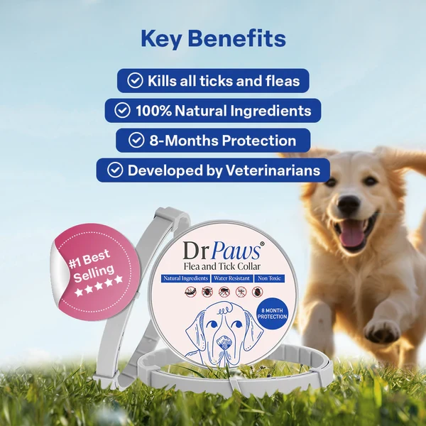 DrPaws 8 Months Flea and Tick Free Collar Dogs
