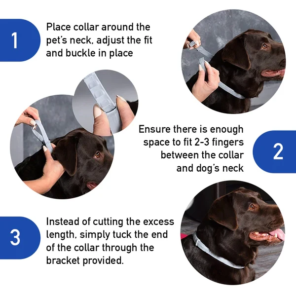 DrPaws 8 Months Flea and Tick Free Collar Dogs