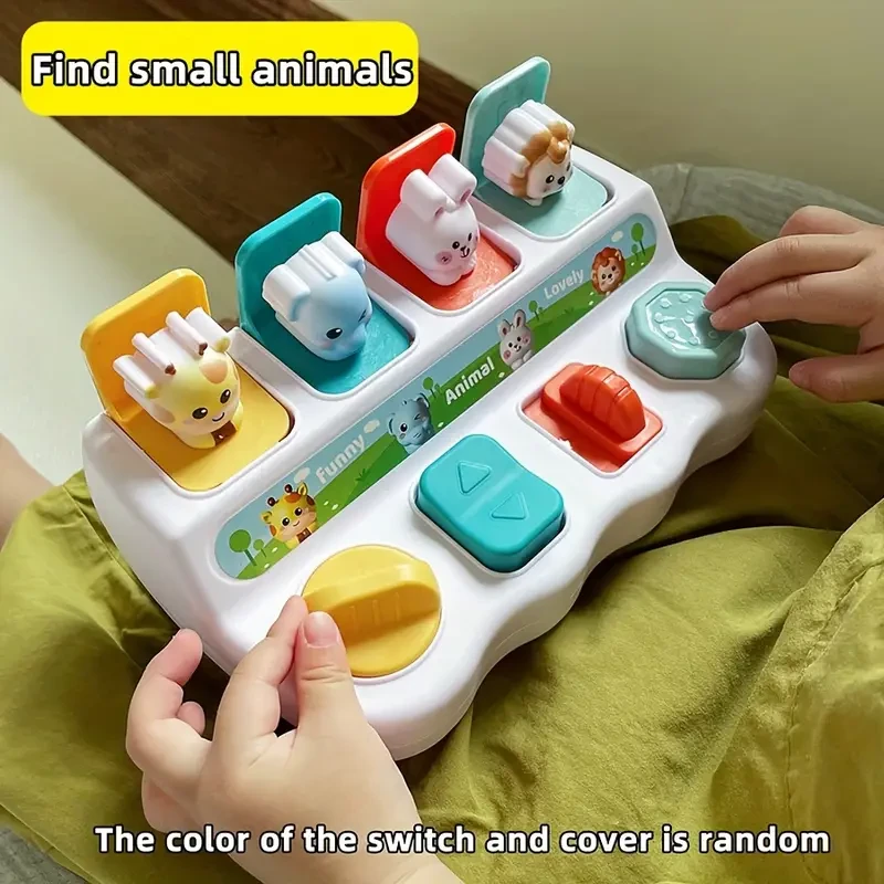 Pop-Up Animal Learning Box - Enhances Logic & Memory Skills