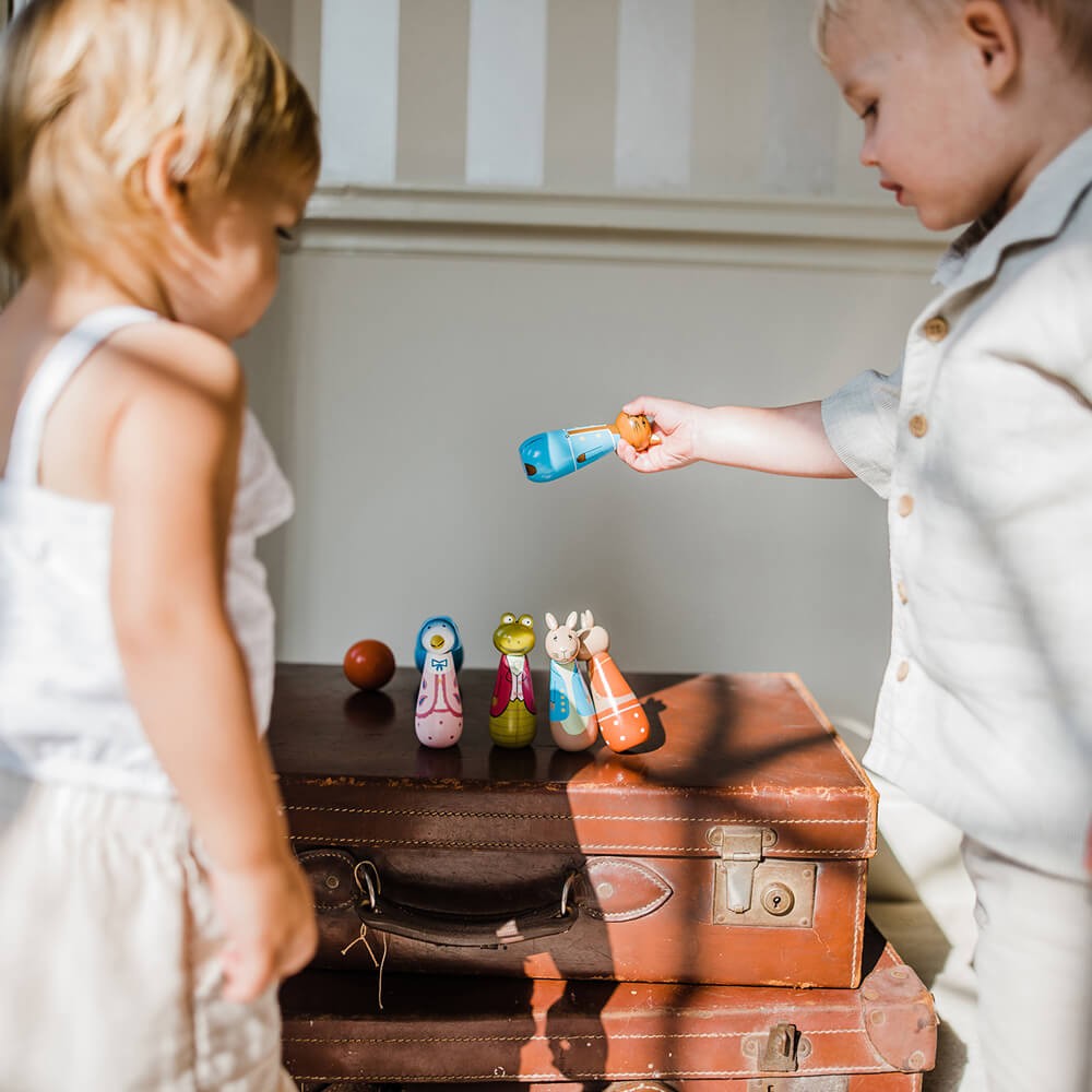 Flopsy Train Push Toy