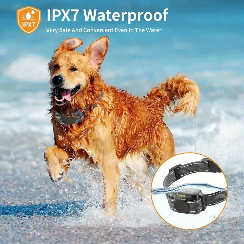 Dog Training Collar with Remote,