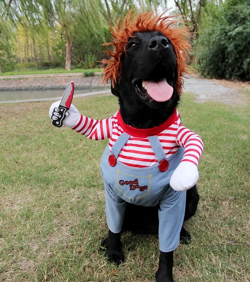 Pet Dog Funny Clothes
