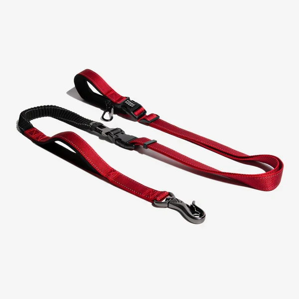 Multifunction Hands Free Dog Leash With Safety Seat Belt