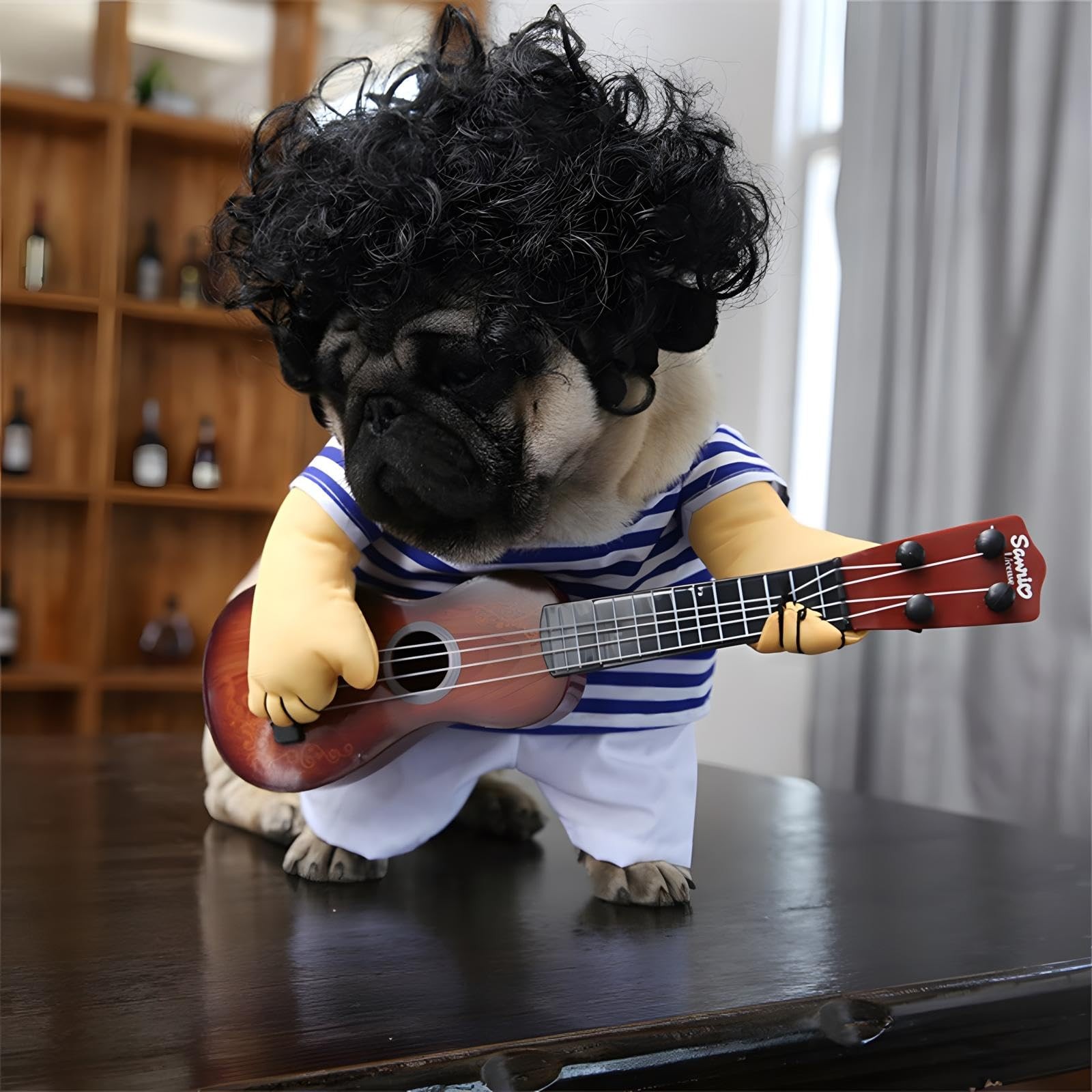 Pet dog guitarist dress