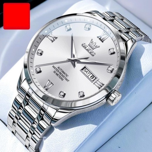 Men's Waterproof Mechanical Watch