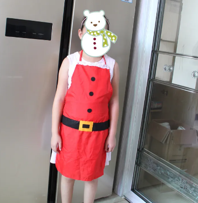 Christmas aprons for Adults