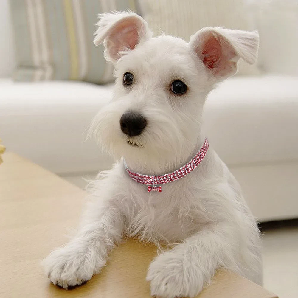 Bling Rhinestone Dog Collar Crystal