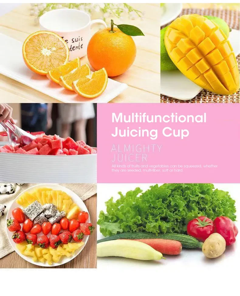 Mini Kitchen Fruit Juice Mixer