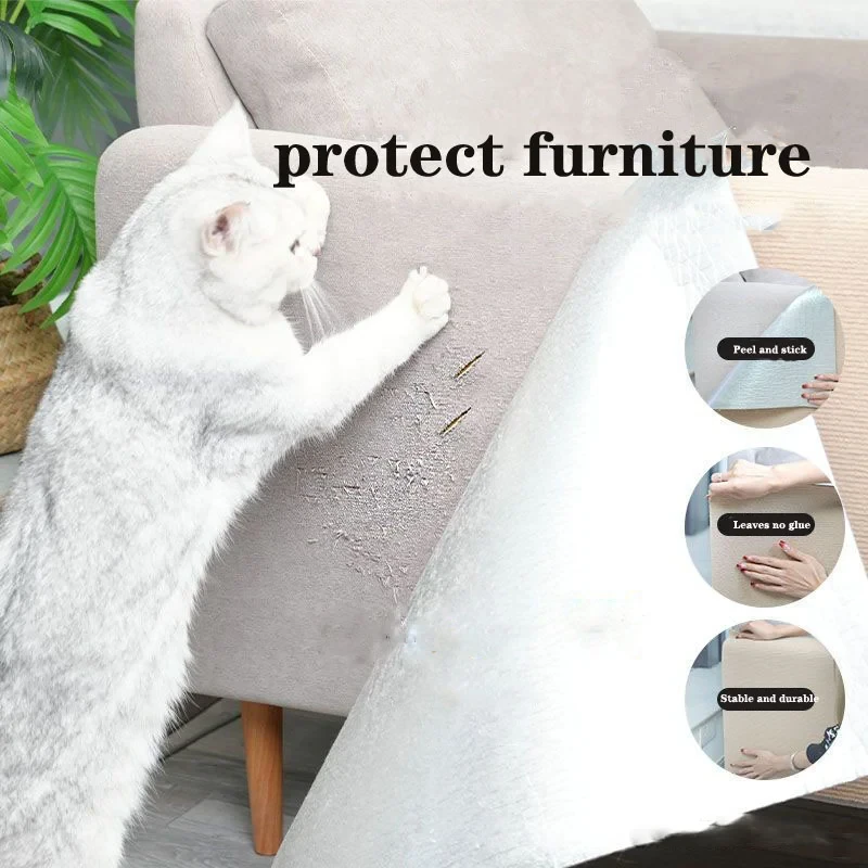 Asisumption -Cat Scratching