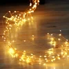 Firefly Bunch Lights(3M/120 INCHES)