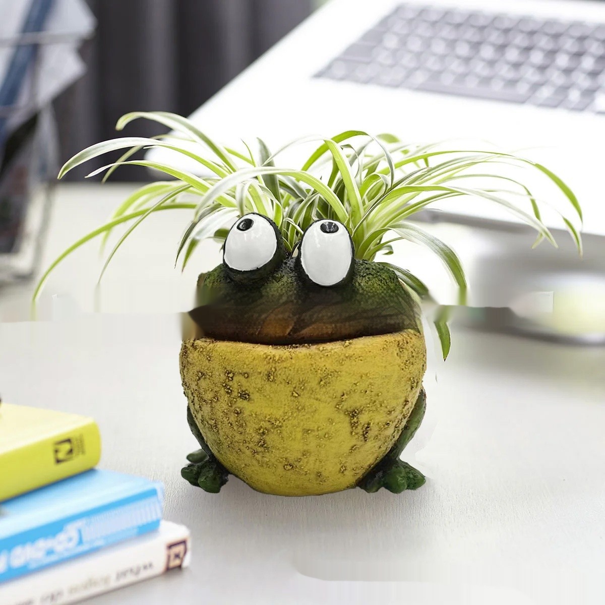 New Cute Frog Succulent Flower Pot
